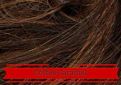 QUICK CLIP 2 LAYERED PONYTAIL - Hairware